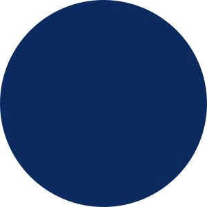 Navy Nylon